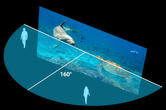 nearly_160_viewing_angle