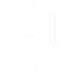 mic icon
